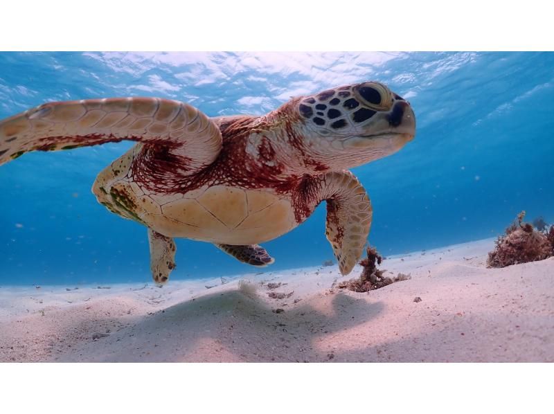 【北海道・SUP体験】透明度の高い支笏湖の湖面をクルージング！SUP体験（半日コース）の画像