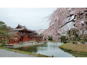 【京都】千年の歴史を持つ平等院、太閤秀吉ゆかりの醍醐寺、宇治・伏見を贅沢に巡る、ゆったり8時間プラン♪観光タクシーで楽々満足度抜群！