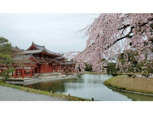 京都】千年の歴史を持つ平等院、太閤秀吉ゆかりの醍醐寺、宇治・伏見を