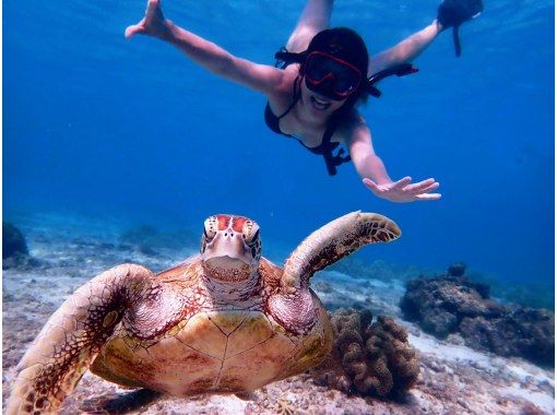 【沖縄・宮古島】大人気ウミガメがこんな近くで!？嬉しい送迎付きで写真データプレゼント♪ウミガメ満喫ツアー♪の画像