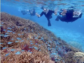 SALE! If you want to have a luxurious time ☆ SUP & Snorkeling Tour ☆ Waterproof camera rental included [Miyakojima, Private tour for one group]