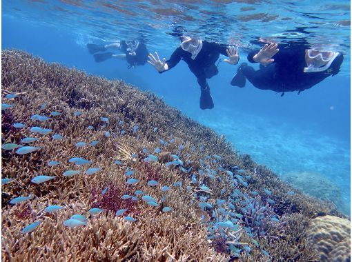 贅沢に遊ぶなら☆SUP＆シュノーケリングツアー☆防水カメラ貸出付【宮古島・一組貸切】の画像