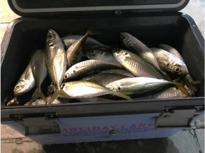 【東京・羽田】120分 アジ　乗り合い船★釣った魚を食べれるお店紹介可！の画像