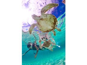 Miyakojima《100% Encounter Rate Continuing》[Sea Turtle & Clownfish Snorkel] No additional fees★Full money back guarantee★1 year old and up! Free rental and photos!の画像