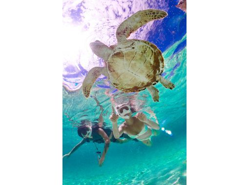 宮古島《遭遇率100%継続中》【ウミガメ&クマノミシュノーケル】追加料金ナシ★全額返金保証★1歳〜OK!レンタル・写真無料!