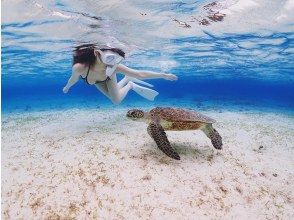 [Okinawa/Miyakojima] Private tour for only one group ☆ Encounter rate 100% updated! Beach snorkeling swimming with sea turtles! Shooting data present!