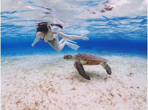 [Okinawa/Miyakojima] Private tour for only one group ☆ Encounter rate 100% updated! Beach snorkeling swimming with sea turtles! Shooting data present!の画像