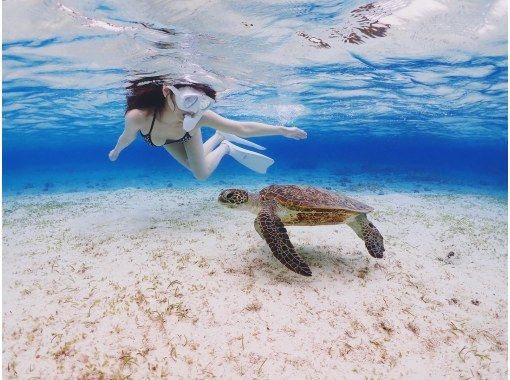 [Private, one-group reservation system] Encounter rate is currently at 100%! Beach snorkeling where you can swim with sea turtles! Free high-quality photo data is available as a gift!の画像