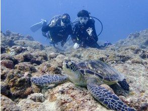 [From Ishigaki Island / Kabira] Experience diving course with peace of mind even for the first time