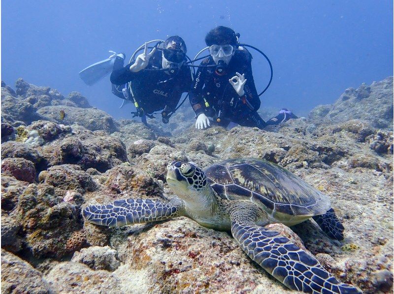 [From Ishigaki Island / Kabira] Experience diving course with peace of mind even for the first timeの紹介画像