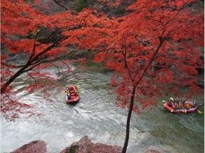【群馬・水上】利根川ラフティング体験(半日コース)の画像