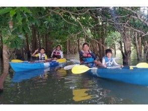 マングローブカヤック体験ツアー（古宇利大橋・羽地内海周辺海域）シーカヤックとマングローブが両方楽しめる人気のツアー