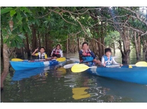 マングローブカヤック体験ツアー（古宇利大橋・羽地内海周辺海域）シーカヤックとマングローブが両方楽しめる人気のツアーの画像