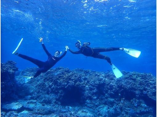 【沖縄・宮古島】嬉しい送迎付！ポイント豊富♪ 初心者も安心で沢山の熱帯魚や珊瑚を見に行こう♪シュノーケルツアー♪の画像