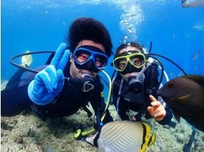 Destination Random “Fun” Boat Diving 2 Dive | I don’t know where to go! We will guide you to the perfect plan for you ✨ GoPro photo video freeの画像
