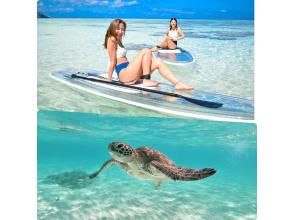 Cheap Miyakojima [Clear SUP & Sea Turtle Snorkel] No additional charges★Full money back guarantee★Free rental and photos!