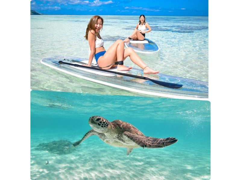 มิยาโกจิม่าราคาถูก [Clear SUP & Sea Turtle Snorkel] ไม่มีค่าใช้จ่ายเพิ่มเติม ★รับประกันคืนเงินเต็มจำนวน ★เช่าและถ่ายรูปฟรี!の紹介画像