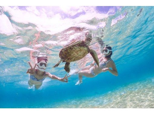 Miyakojima << Chartered VIP Plan >> [Sea Turtle Snorkel Tour] With drone shooting ★ No additional charge ★ Full money-back guarantee ★ Rental and photo free!の画像