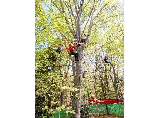[Nasu Kogen, Tochigi Prefecture] Tree climbing! -Become friends with trees! ~の画像