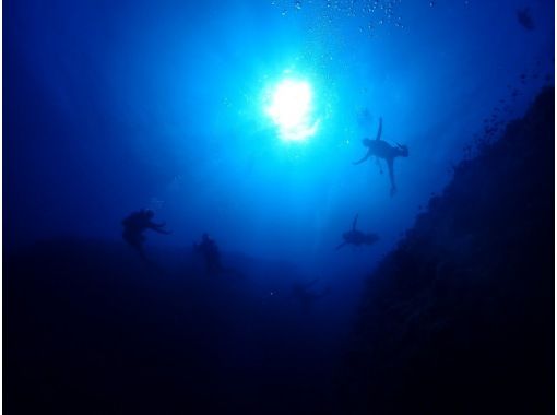Onna Village Manzamo "Fan" Boat Diving 2 Dive ｜Staff's best recommendationの画像
