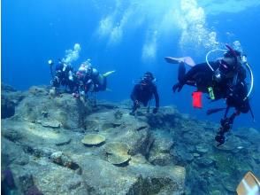 [Nagasaki / Saikai / Obiki Island area] 2 boat fan diving (for license holders) | Departs from 2 people ★