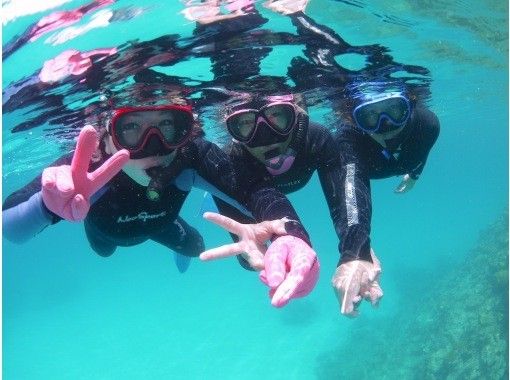[Okinawa Ishigaki] Completely private snorkeling tour. Participation is OK from one person!の画像