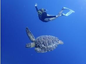 【沖縄・石垣島】冬限定！送迎無料、海亀シュノーケルツアー☆(一便４名限定！)