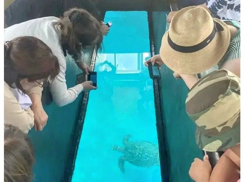 【北海道・SUP体験】透明度の高い支笏湖の湖面をクルージング！SUP体験（半日コース）の画像