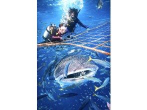 【沖縄・読谷村】《送迎 可能》ジンベイザメと会う10歳からOKの体験ダイビング！※送迎範囲あり