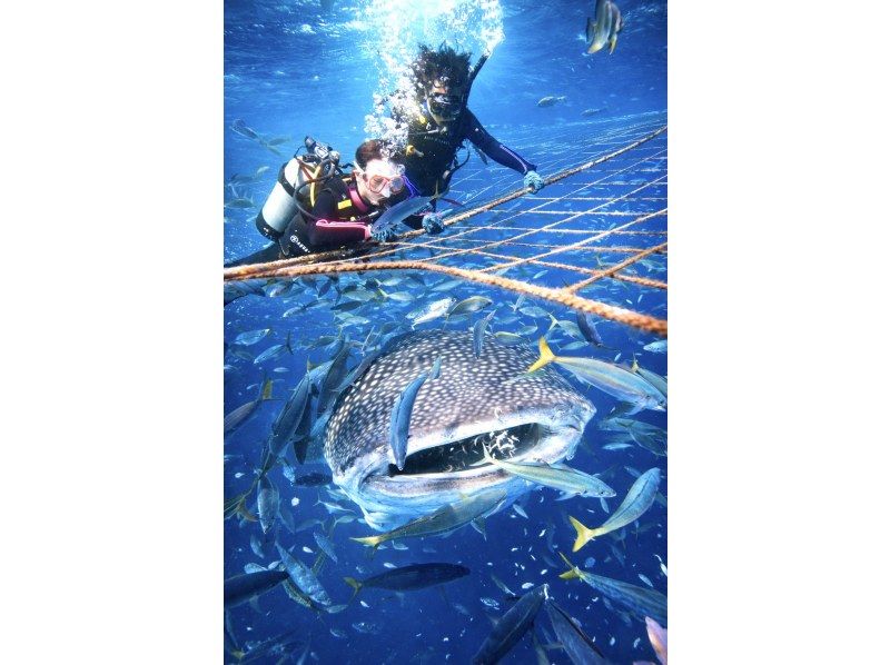 【北海道・SUP体験】透明度の高い支笏湖の湖面をクルージング!SUP体験(半日コース)の画像