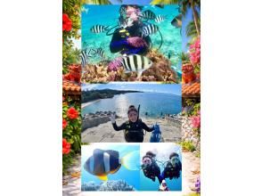 ゴリラチョップビーチ体験ダイビング【沖縄・本部町】《送迎 可能》※送迎範囲あり★GoPro撮影データ無料プレゼント