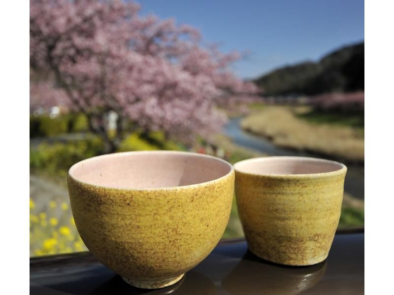 【しずおか元気旅・地域クーポン対応】伊豆の景色をお土産に！【静岡・伊豆高原】短時間&リーズナブルに【マイ茶碗】を作るの紹介画像