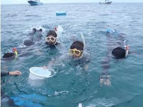 ダイブハウスクローバー石垣島の最新写真