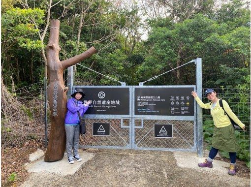 【鹿児島・徳之島】世界自然遺産の森　トレッキングツアーの画像