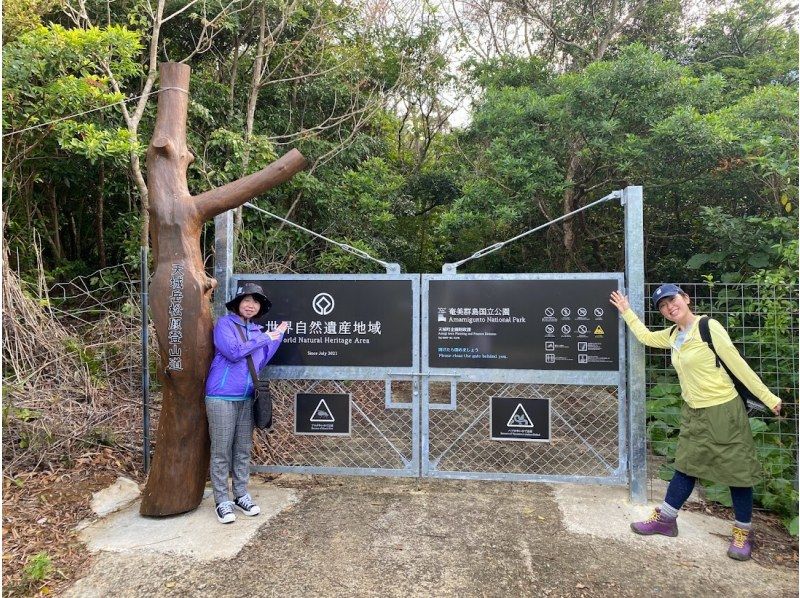 【鹿児島・徳之島】世界自然遺産の森　トレッキングツアーの紹介画像