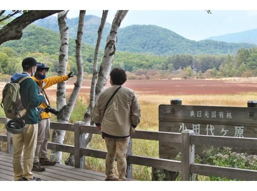 【栃木・奥日光】一足早い奥日光の秋・小田代原『草紅葉』ガイドウォーク【低公害バスで行く超お手軽ウォーキング】の画像