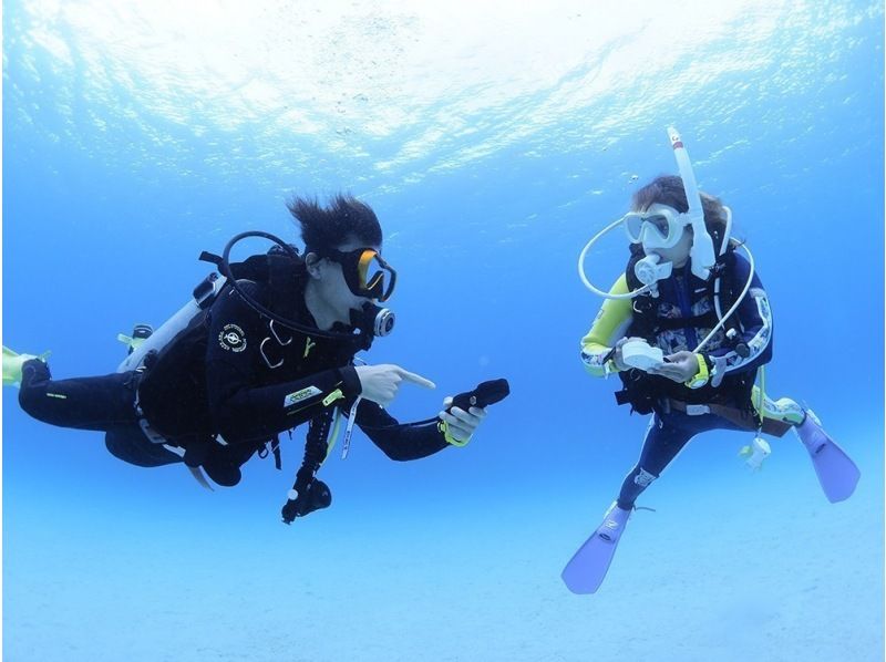【東京・世田谷】スーパーサマーセール実施中　ＰＡＤＩ(シェア1位)　オープンウォーター　１８ｍまで　ダイビングライセンス　レンタル込み３日間の紹介画像