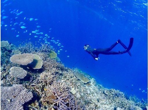 【宮古島・ヤビジ】☆ドローン撮影&高画質水中カメラレンタル無料☆八重干瀬スキンダイビングツアー！の画像