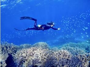 【宮古島・ヤビジ】☆ドローン撮影&高画質水中カメラレンタル無料☆八重干瀬スキンダイビングツアー！