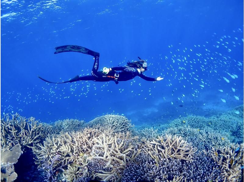 【北海道・SUP体験】透明度の高い支笏湖の湖面をクルージング！SUP体験（半日コース）の画像