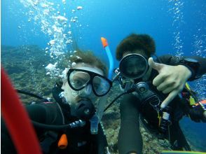 [Ishigaki Island] Arrival diving OK !! Selectable morning, afternoon, half-day experience diving !! Photo and video gifts during the tour! Beginners and couples welcome!!の画像