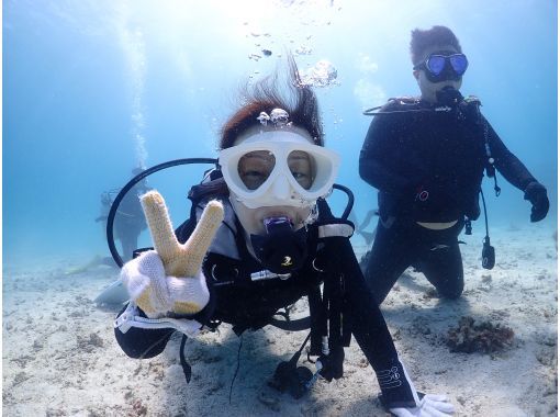 【沖縄・石垣島】到着ダイビングOK!! 選べる午前、午後、体験ダイビングツアー！少人数で潜る石垣島の海の画像