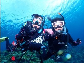 【沖縄・石垣島】体験ダイビング＆シュノーケル☆少人数で2〜3箇所巡る安心の海遊びツアー！