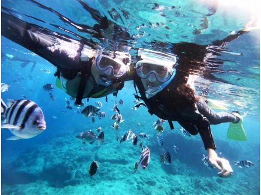[Very popular with families] Private snorkeling experience plan with an exclusive guide ★ Take lots of photos and videos & feed for free!の画像