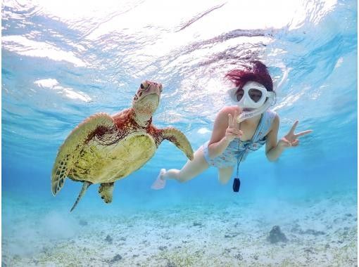 [Okinawa/Miyakojima/Snorkel] <1 group reserved> Let's go see sea turtles! Completely private snorkel tour♪の画像