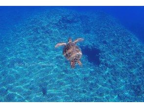 【沖縄・久米島】球美の海で半日ボートシュノーケリングの画像