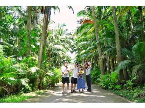 【先着3組様☆夏休みSALE】南ぬ島☆石垣島を貸切で周遊＆プロ撮影☆絶景フォトツアー♪石垣島旅行に大人数の参加がお得☆【タイムセールプラン】の画像