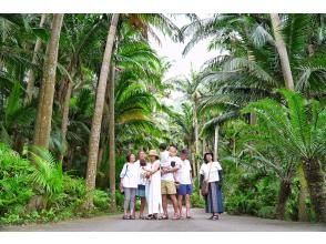 【先着3組様☆SALE開催中】南ぬ島☆石垣島を貸切で周遊＆プロ撮影☆絶景フォトツアー♪石垣島旅行に大人数の参加がお得☆【タイムセールプラン】