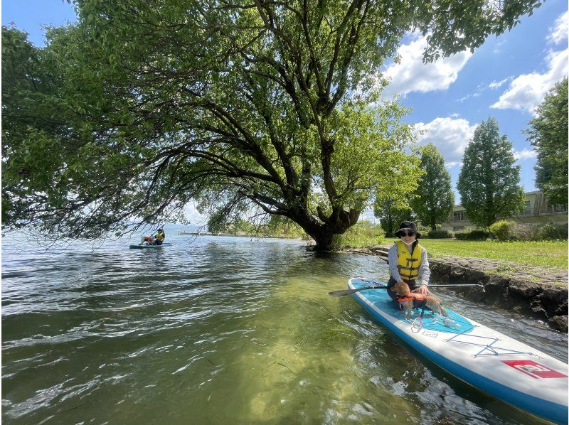 [Lake Biwa SUP experience << 90 minutes >> ☆ Beginners are welcome! ] You can relax and experience SUP with a small number of people ♪ Pet dog can also be accompanied ♪ << Beginner / One person / Women are also recommended >>の紹介画像