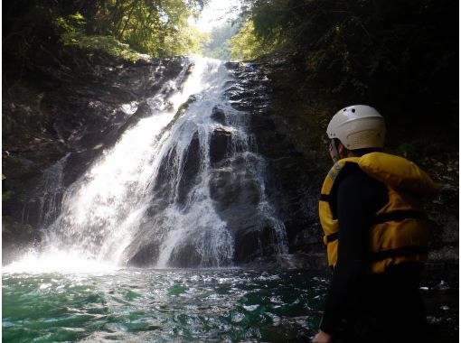 日常を脱ぎ捨てて大自然と呼吸を合わせる1日 【源流の森と水に癒されるキャニオニングリトリート】｜静寂の渓谷で心を解き放つ 大人のリフレッシュの画像